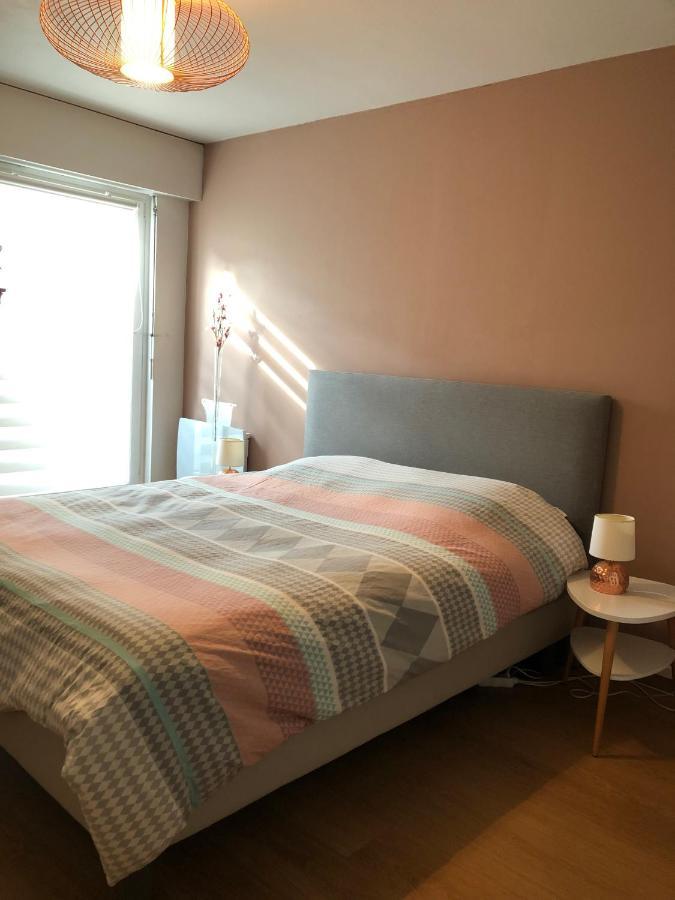 斯特拉斯堡Magnifique Appart + Terrasse De 35M²公寓 外观 照片